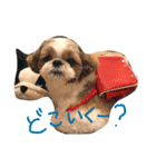 りっちんの毎日（個別スタンプ：10）