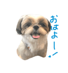 りっちんの毎日（個別スタンプ：14）