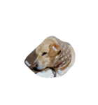 ハッピー ヤンチャ 犬（個別スタンプ：4）