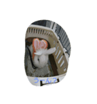 うさぎのいなば（個別スタンプ：15）