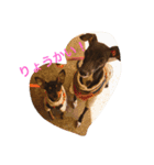リモリモ（個別スタンプ：1）
