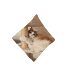 最高にカワイイ猫（個別スタンプ：3）