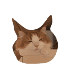 最高にカワイイ猫（個別スタンプ：6）