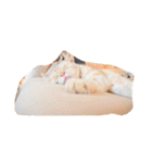 にゃんころころり（個別スタンプ：28）