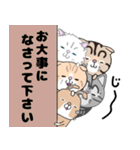 zoubrothersコラボ zoubrothers編（個別スタンプ：29）