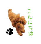 Leon's daily life（個別スタンプ：3）