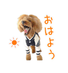 Leon's daily life（個別スタンプ：4）