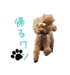 Leon's daily life（個別スタンプ：10）