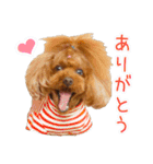 Leon's daily life（個別スタンプ：11）