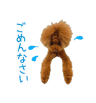 Leon's daily life（個別スタンプ：13）