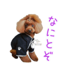 Leon's daily life（個別スタンプ：15）
