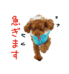Leon's daily life（個別スタンプ：17）