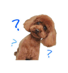 Leon's daily life（個別スタンプ：31）
