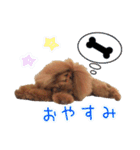 Leon's daily life（個別スタンプ：39）