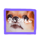dis-chikuwa（個別スタンプ：2）