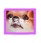 dis-chikuwa（個別スタンプ：3）