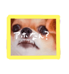 dis-chikuwa（個別スタンプ：5）