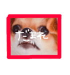 dis-chikuwa（個別スタンプ：7）