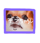 dis-chikuwa（個別スタンプ：10）