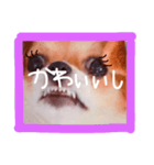 dis-chikuwa（個別スタンプ：11）