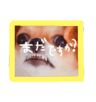 dis-chikuwa（個別スタンプ：13）