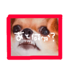 dis-chikuwa（個別スタンプ：15）