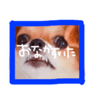 dis-chikuwa（個別スタンプ：16）