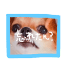 dis-chikuwa（個別スタンプ：17）