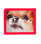 dis-chikuwa（個別スタンプ：31）