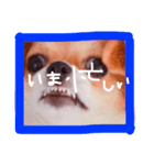 dis-chikuwa（個別スタンプ：32）