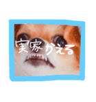 dis-chikuwa（個別スタンプ：33）