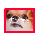 dis-chikuwa（個別スタンプ：39）