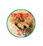 I love dog Koron. 2（個別スタンプ：5）