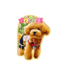 I love dog Koron. 2（個別スタンプ：6）