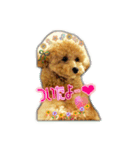 I love dog Koron. 2（個別スタンプ：7）