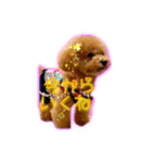 I love dog Koron. 2（個別スタンプ：12）