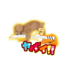 I love dog Koron. 2（個別スタンプ：13）