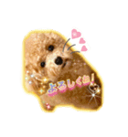 I love dog Koron. 2（個別スタンプ：14）