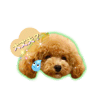 I love dog Koron. 2（個別スタンプ：15）