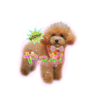I love dog Koron. 2（個別スタンプ：16）
