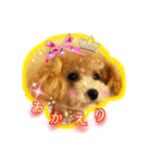 I love dog Koron. 2（個別スタンプ：18）