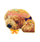I love dog Koron. 2（個別スタンプ：21）