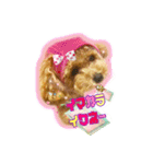 I love dog Koron. 2（個別スタンプ：23）