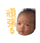 えんちゃんスタンプ 1（個別スタンプ：8）