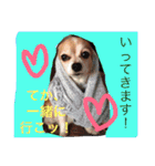 八車家の一日（個別スタンプ：13）