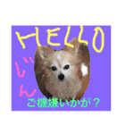 八車家の一日（個別スタンプ：26）