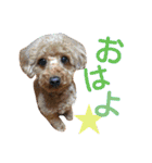 山本さんちのめいちゃん（個別スタンプ：1）