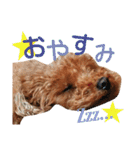 山本さんちのめいちゃん（個別スタンプ：2）