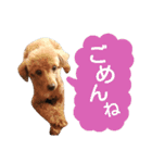 山本さんちのめいちゃん（個別スタンプ：7）
