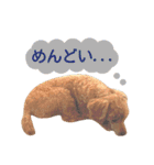 山本さんちのめいちゃん（個別スタンプ：8）